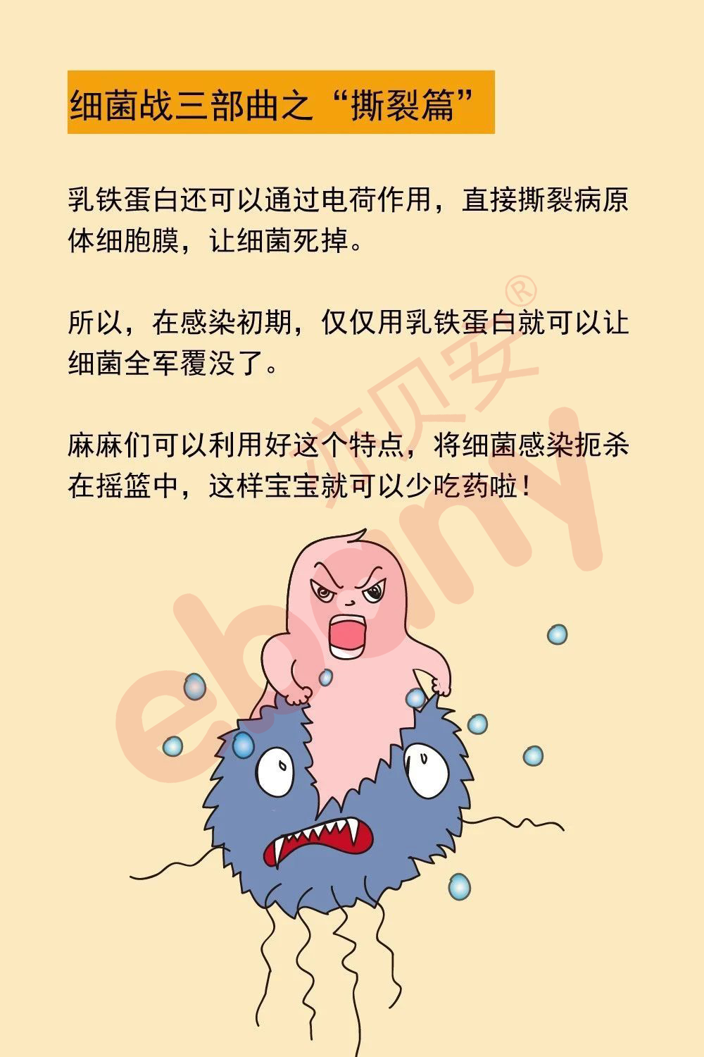 亦贝安益生菌图片