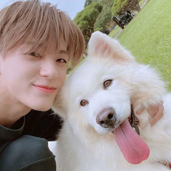 头像nct李帝努合集