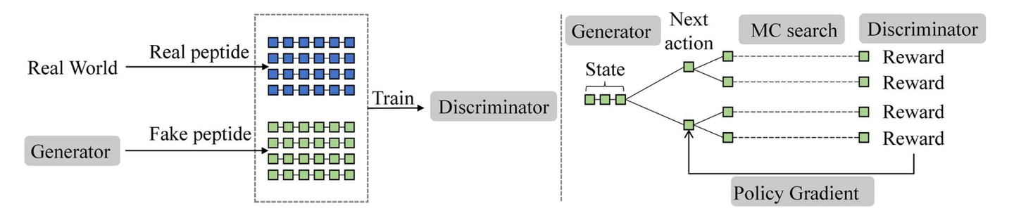 Designing antimicrobial peptides using deep learning and molecular ...