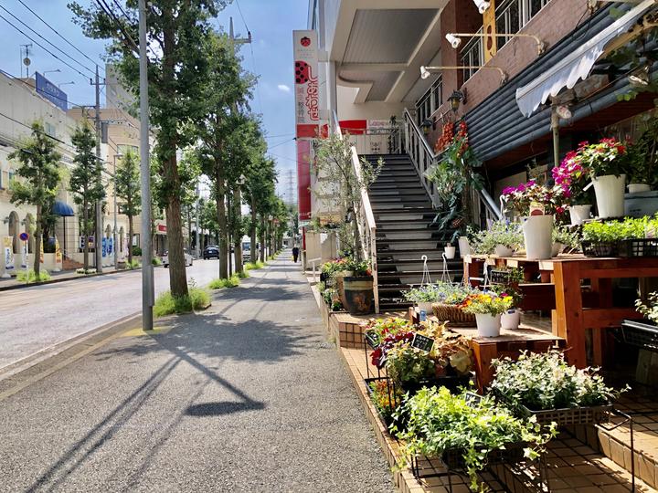 震撼心灵的日语名言 知乎