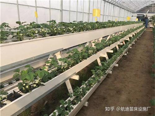 新型草莓槽航迪立体种植架产品简介 新式立体草莓种植 Ixieme网