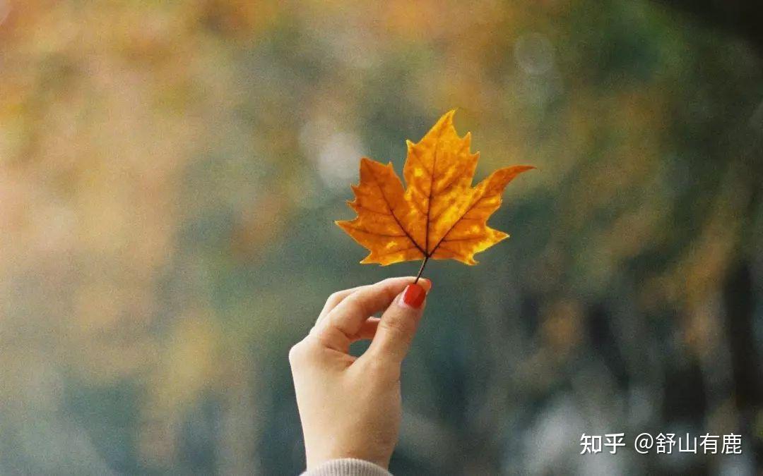 混到50岁,人缘不好,越活越沉默,多半是这几类人 - 知乎