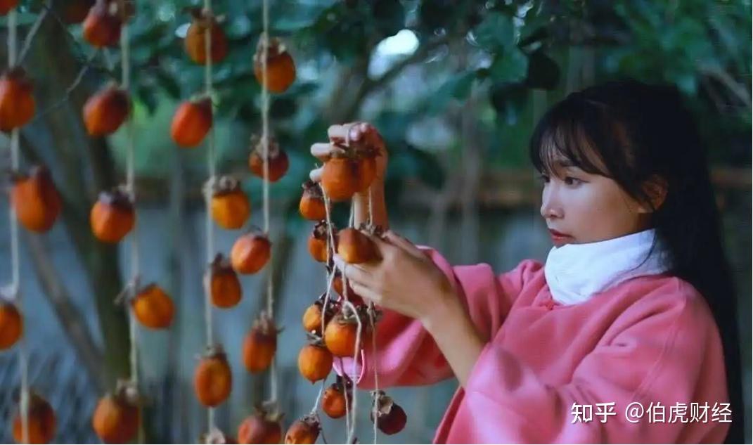 李子柒要回来了,然后呢? - 知乎