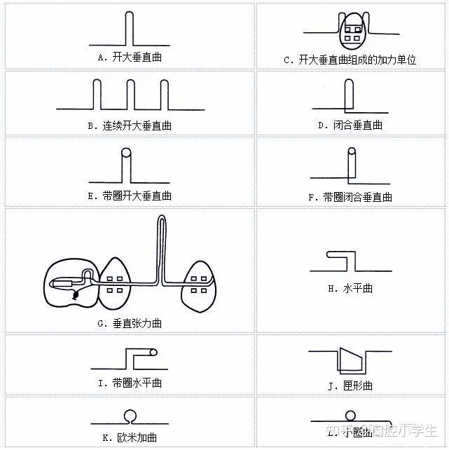 正畸双曲舌簧弯制图解图片