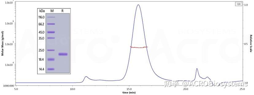 从自免到肿瘤，BAFF的“生存之道” - 知乎