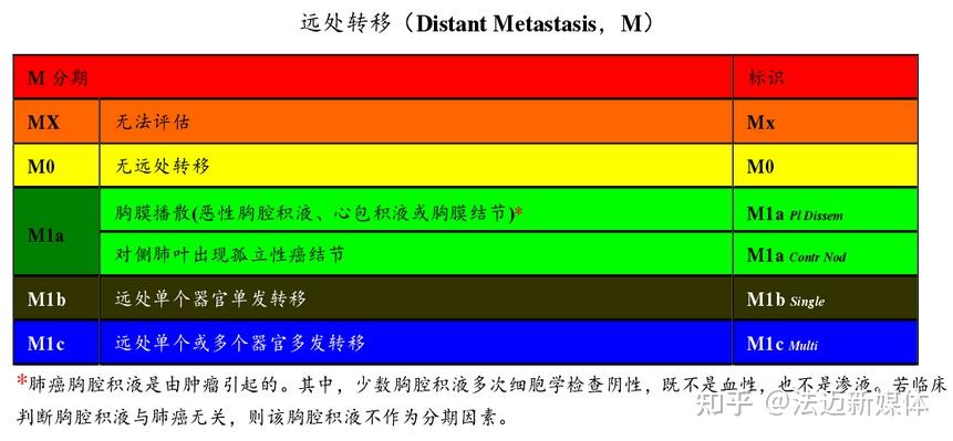 聚焦|肿瘤试验中的TNM分期 - 知乎