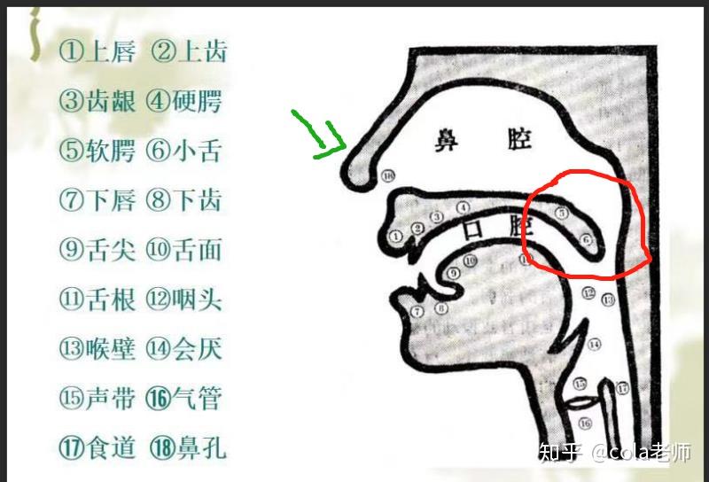 (普通话考试纠音)可能是最简单的nl纠正方案