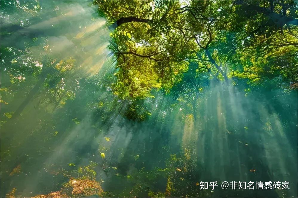 散步疗愈:一个人人都能轻易掌握,调整不良情绪的好方法 - 知乎