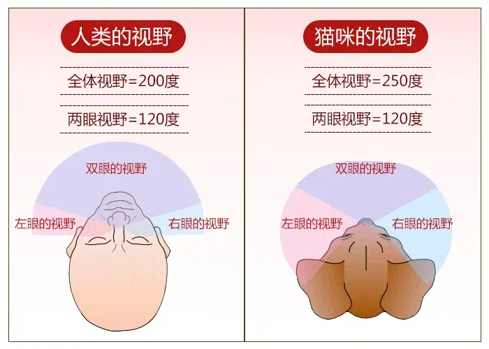 视野图各颜色代表图片