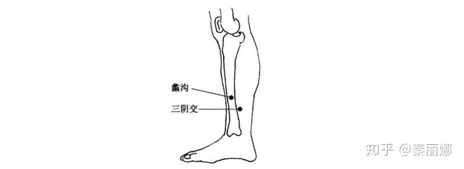 蠡沟穴是足厥阴肝经的穴位,是络穴,在小腿内侧;【功效】主治月经不调