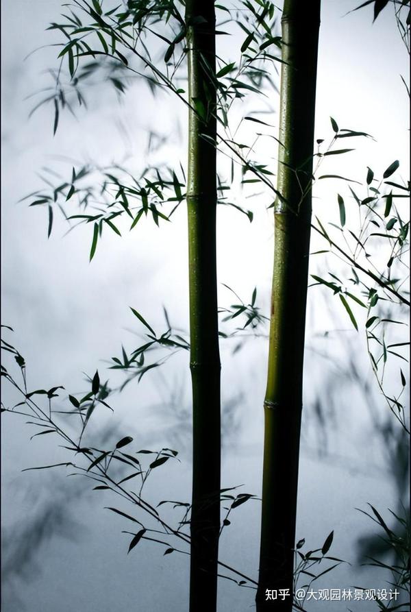 竹子还可以这样用，赶快学起来，余生就享受这样的静谧生活 - 知乎
