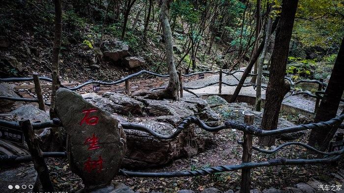 一人一唐,自驾洛南金丝峡,瞰五彩斑斓深秋神瀑峡沟