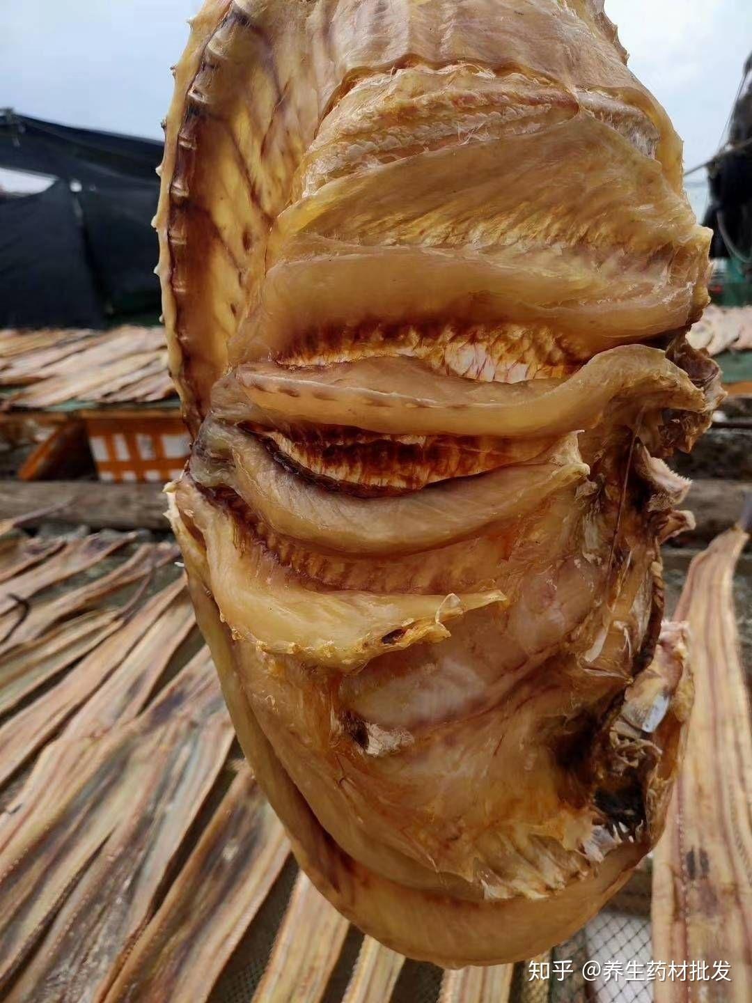 正宗红鱼干 - 知乎