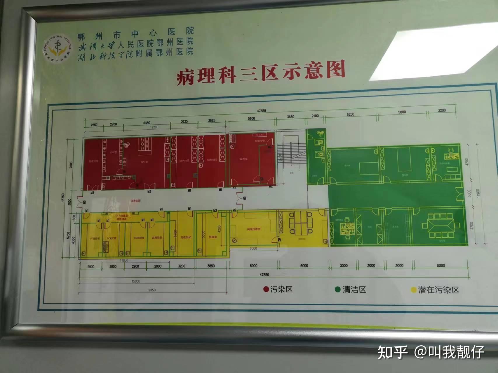医院病理科相关标准操作规程分享 | 病理技术