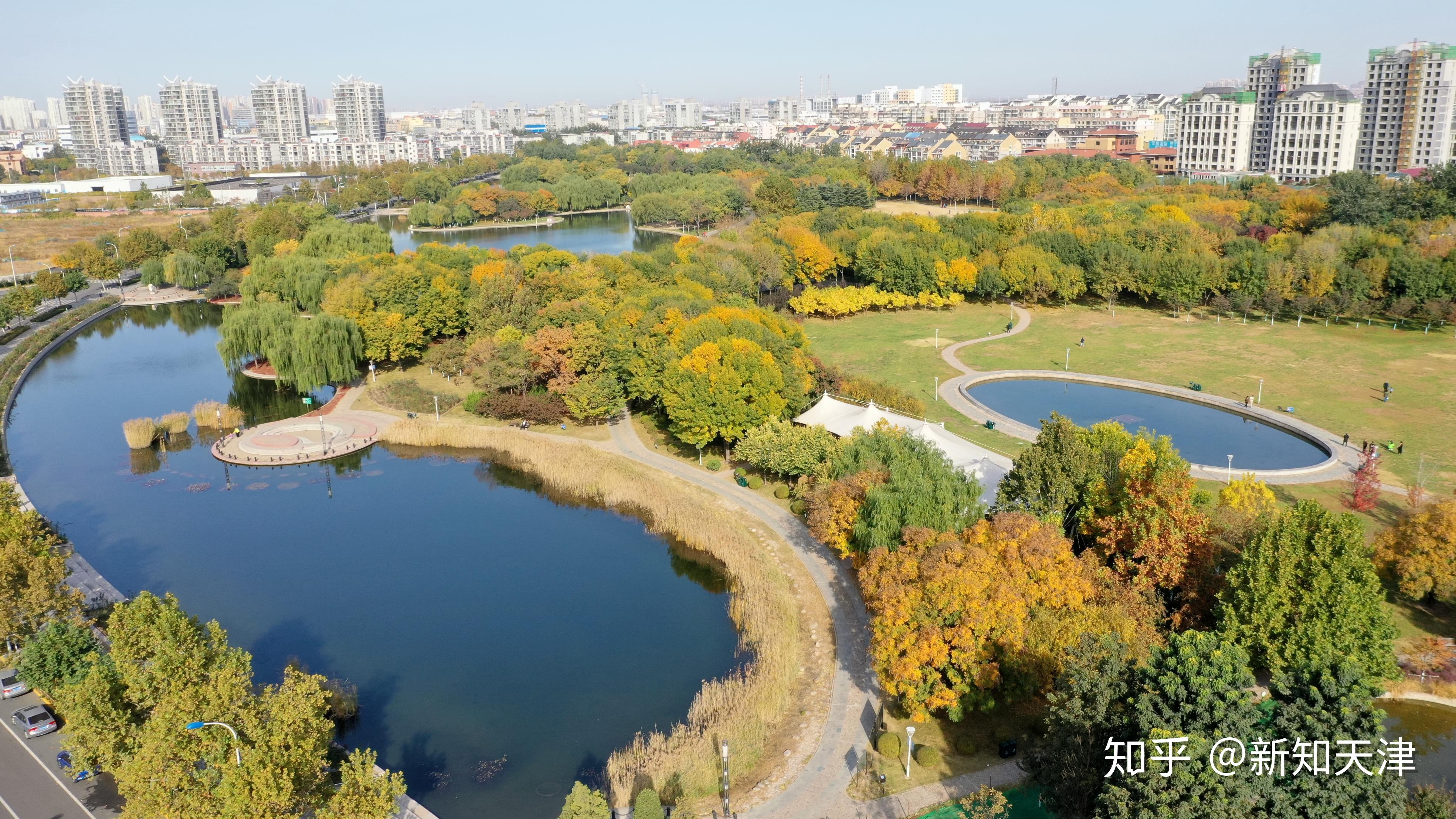 五中全会精神在新区 | 泰丰公园:盐碱滩上崛起「四季女神」