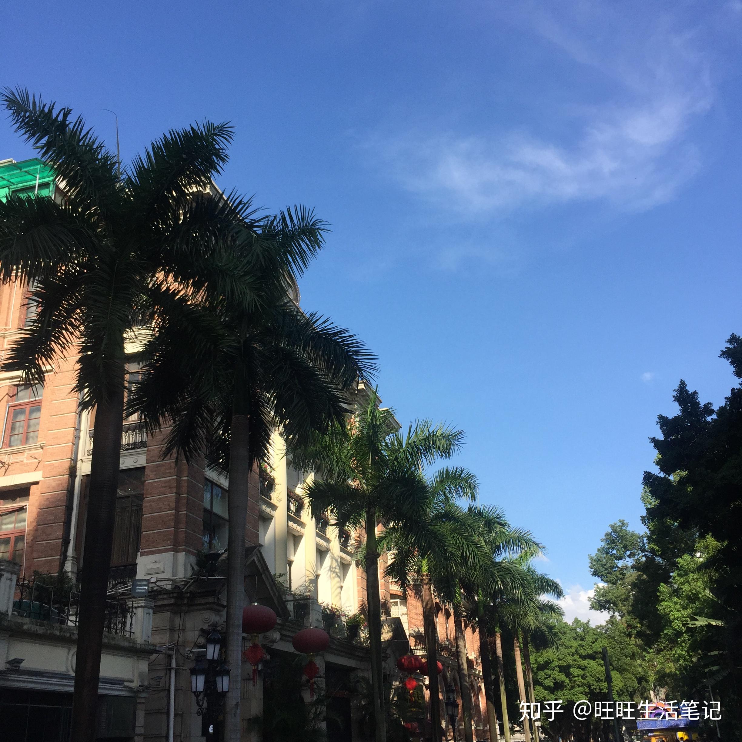 广州两日游攻略,一条超适合带朋友玩转广州的路线 - 知乎