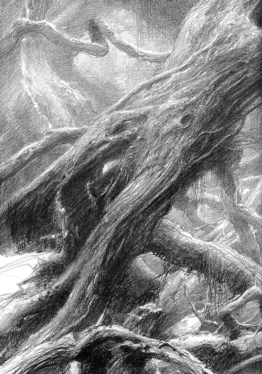 魔戒插画系列—艾伦·李 - 知乎