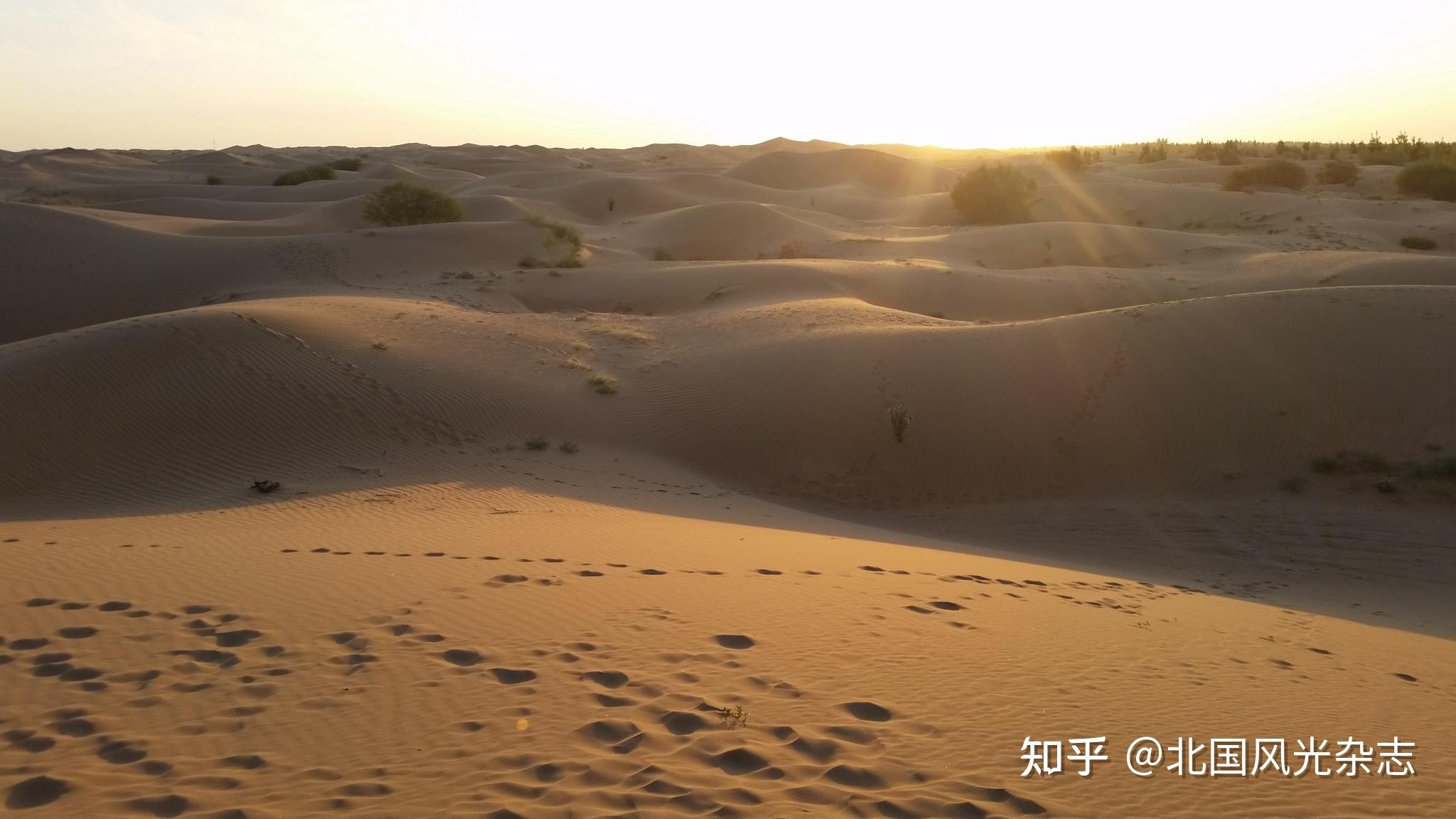 《南华早报》网站7月9日报道,塔利班发言人苏海勒·沙欣周三说,塔利班