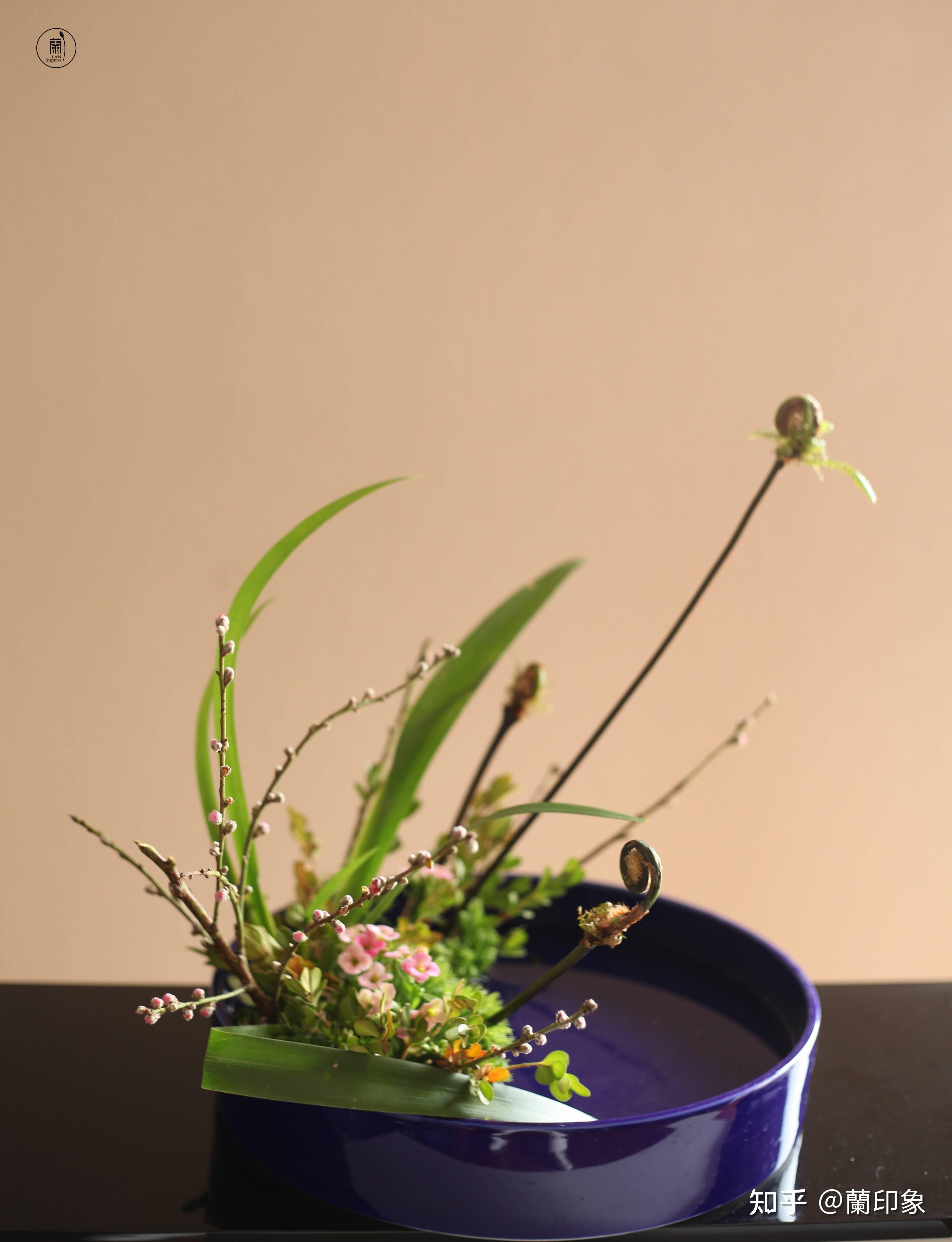 小原流写景盛花自然本位西安插花培训