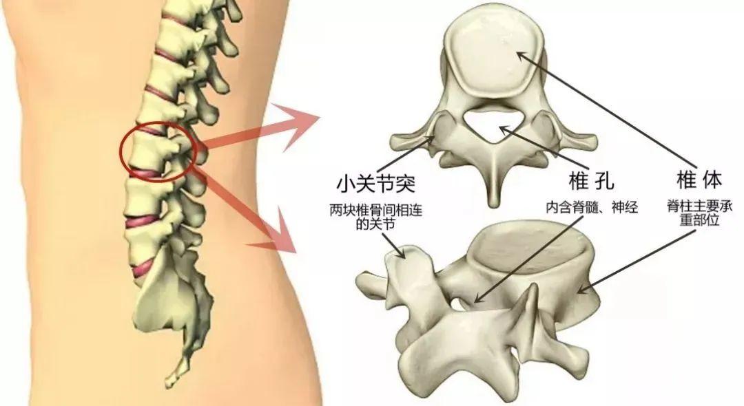 牵引到底能不能缓解腰椎间盘突出?