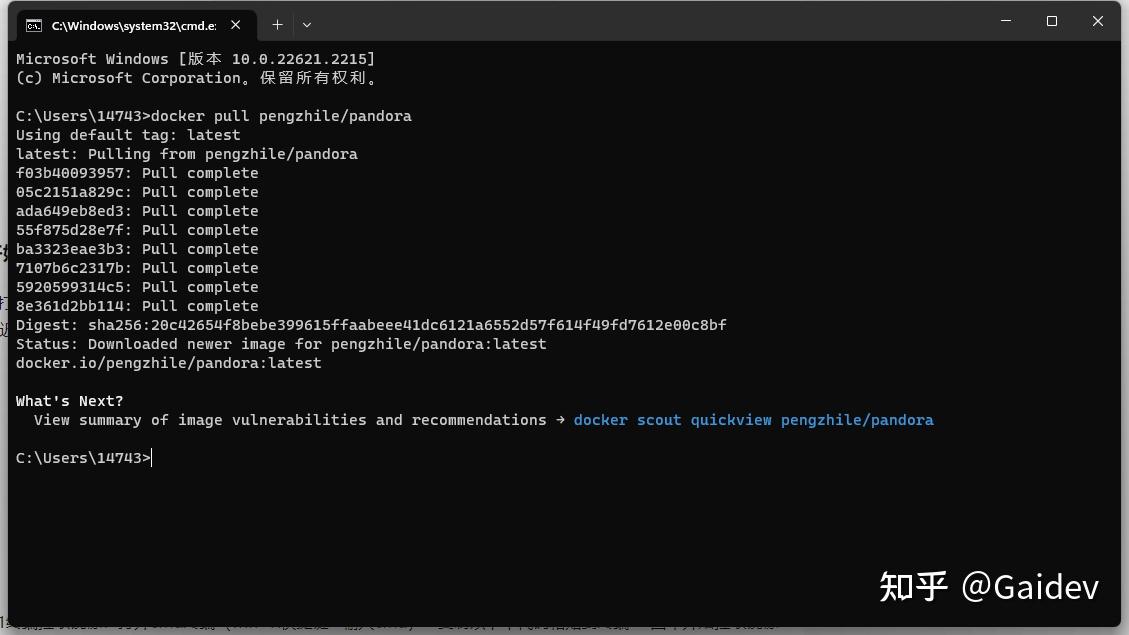 Windows pandora docker 