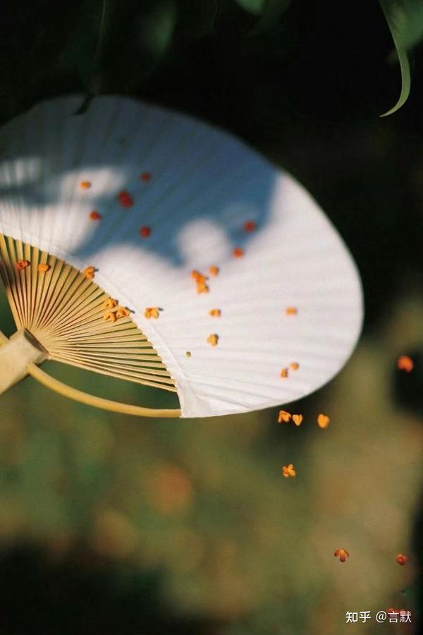 桂花飘香的季节 - 知乎
