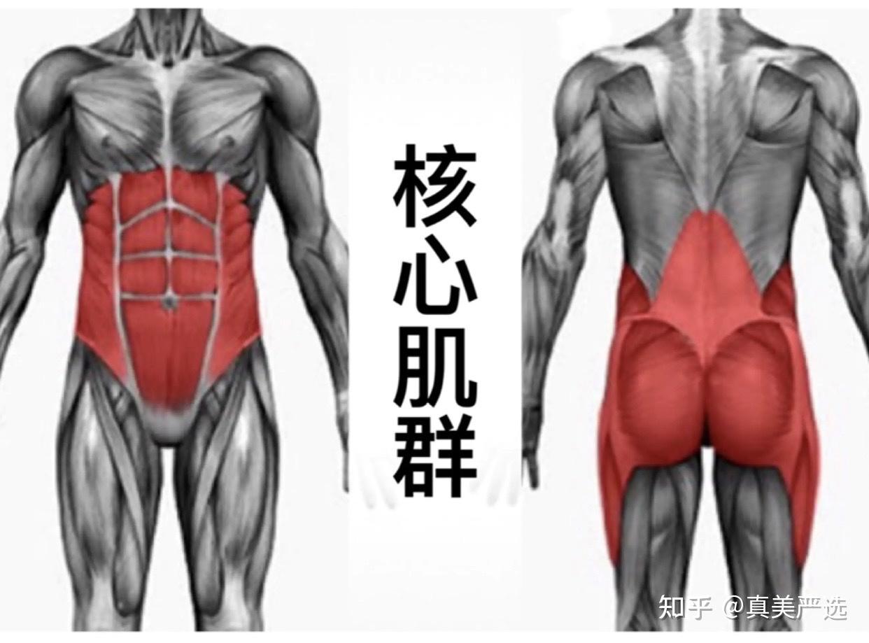 核心力量是什么意思图片