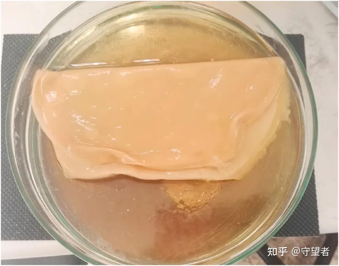 foodhydrocolloids综述细菌纤维素作为一种生物可降解食品包装材料