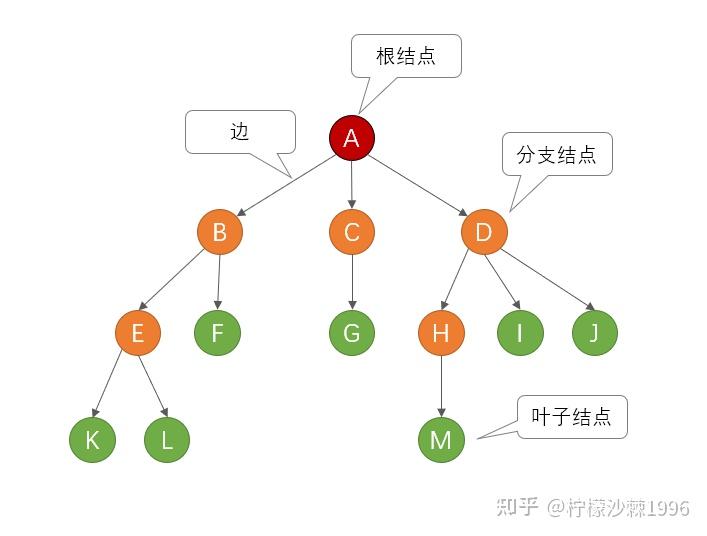 【ds 数据结构】013 树、森林的存储和遍历 知乎