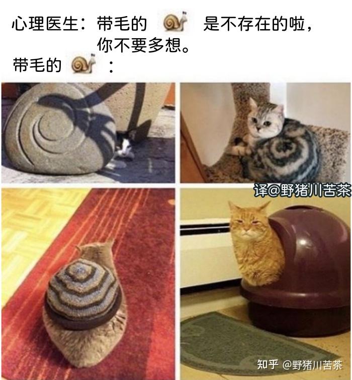 meme梗图:把它丢进烈焰中,毁了它! - 知乎