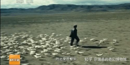 v2-e3674500cd978df2eff1a46104446b00_r.jpg