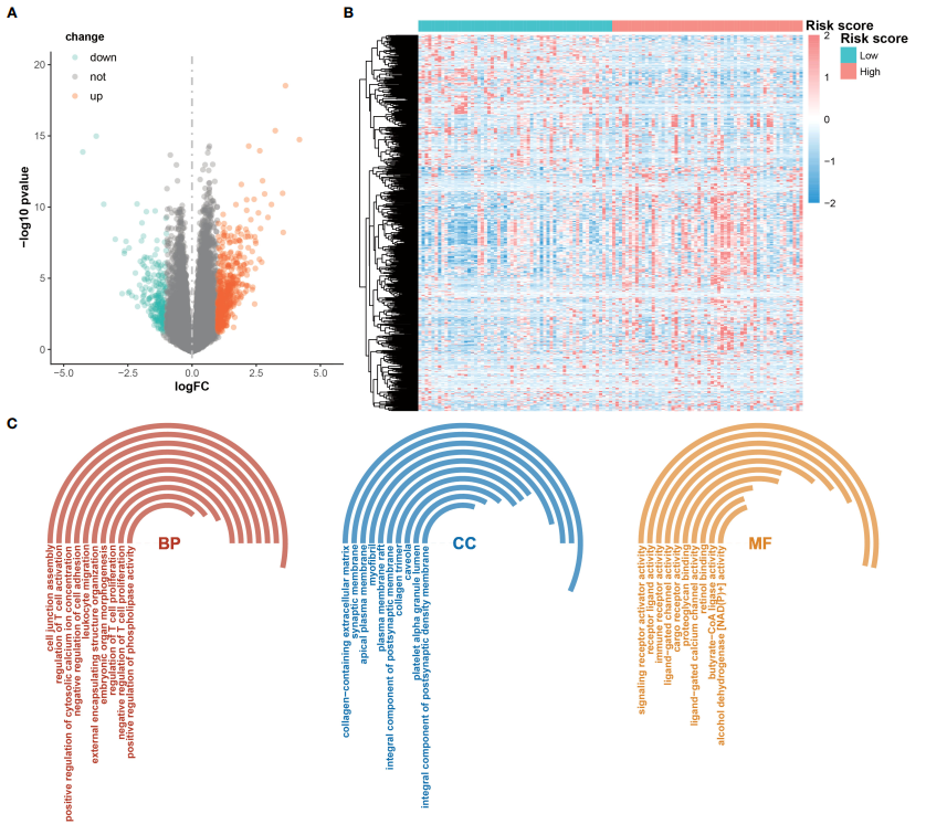 “代谢重编程”可不止“Warburg effect”效应，“糖代谢”相关基因也能做肿瘤诊断和预测，8+纯生信文章教会您复现思路 - 知乎