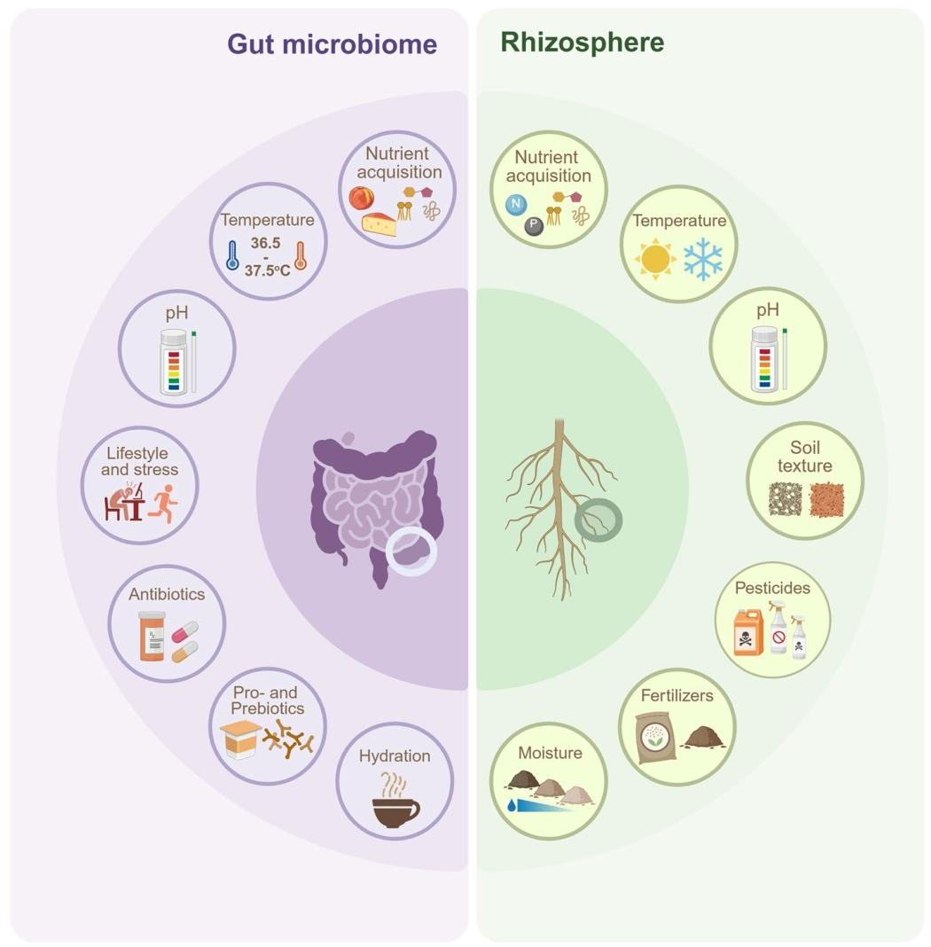 Microbiome | 根际微生物组与肠道微生物组的适应性及代谢趋同 - 知乎