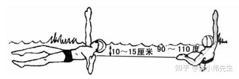 游泳技术详解 | 仰泳的技巧与特点（如何彻底学好仰泳） - 知乎