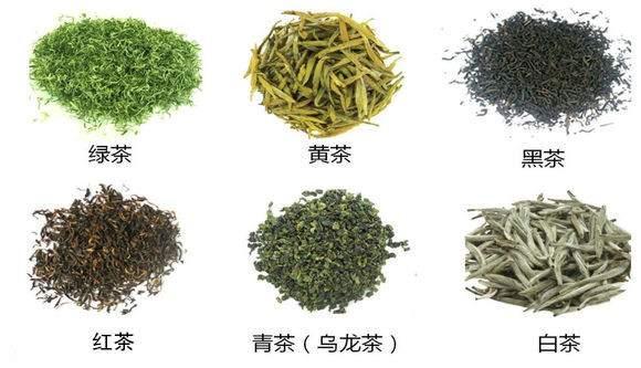 一张表看清16种茶叶的茶多酚含量