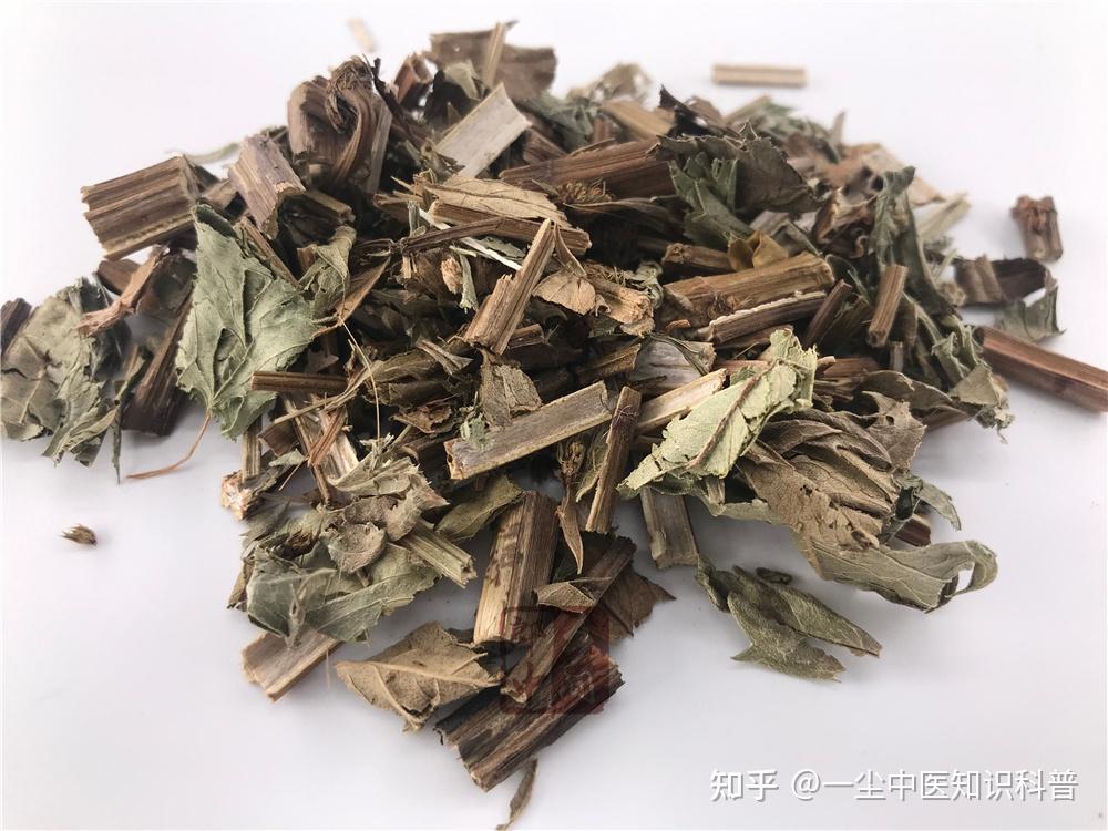 泽兰的功效和作用 - 知乎
