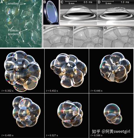 泡沫的微观结构及演变动力学