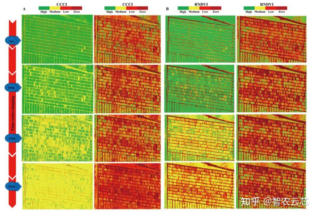 PLANT PHYSIOL | 利用无人机多光谱成像和QTL图谱定量检测小麦的衰老 - 知乎
