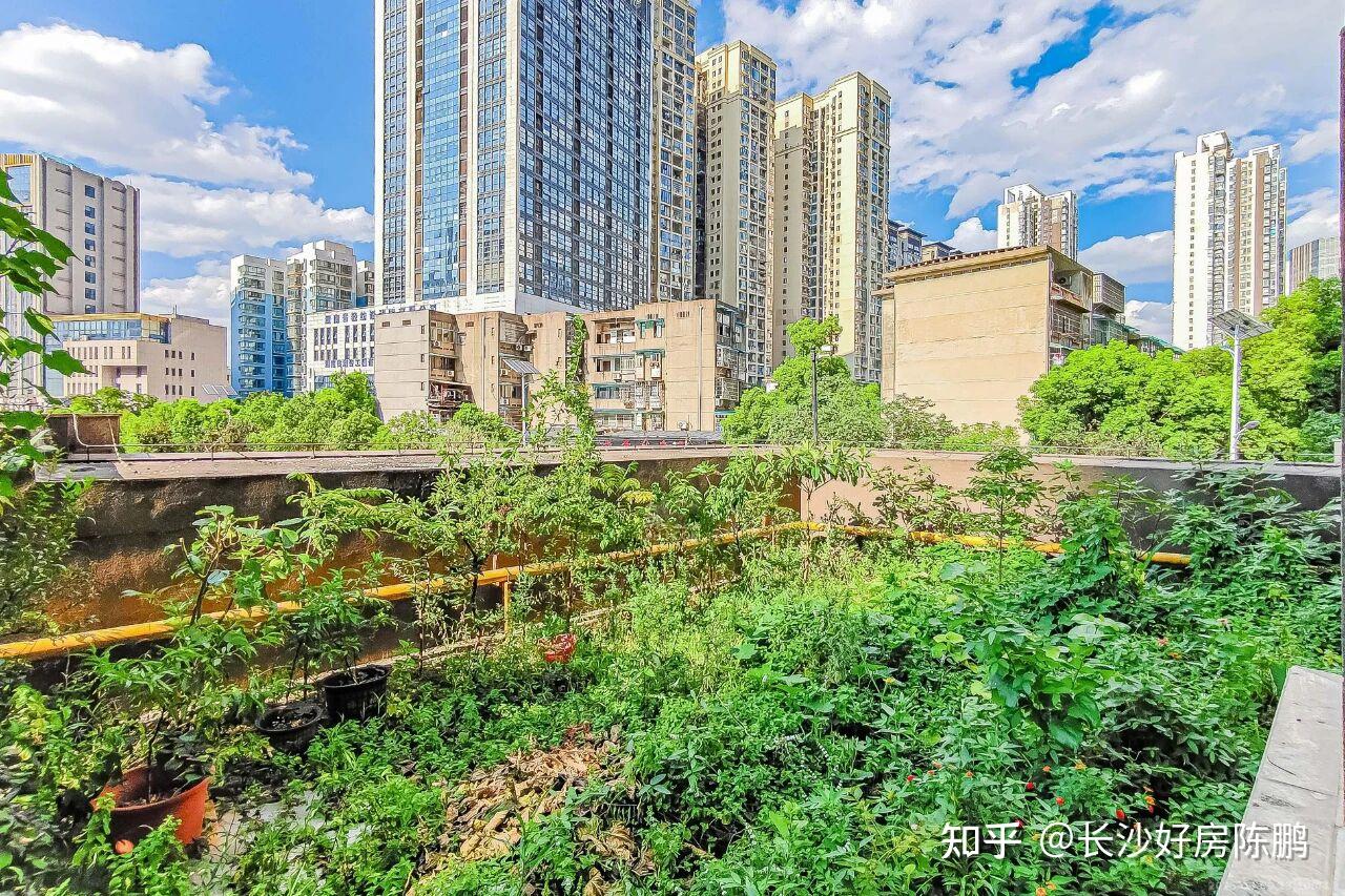 市中心：建发中央公园4房仅报188万，急卖！双地铁+公园门口 - 知乎