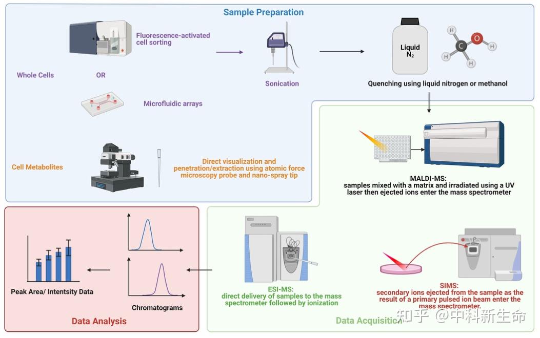 单细胞代谢组-解码细胞代谢异质性 - 知乎