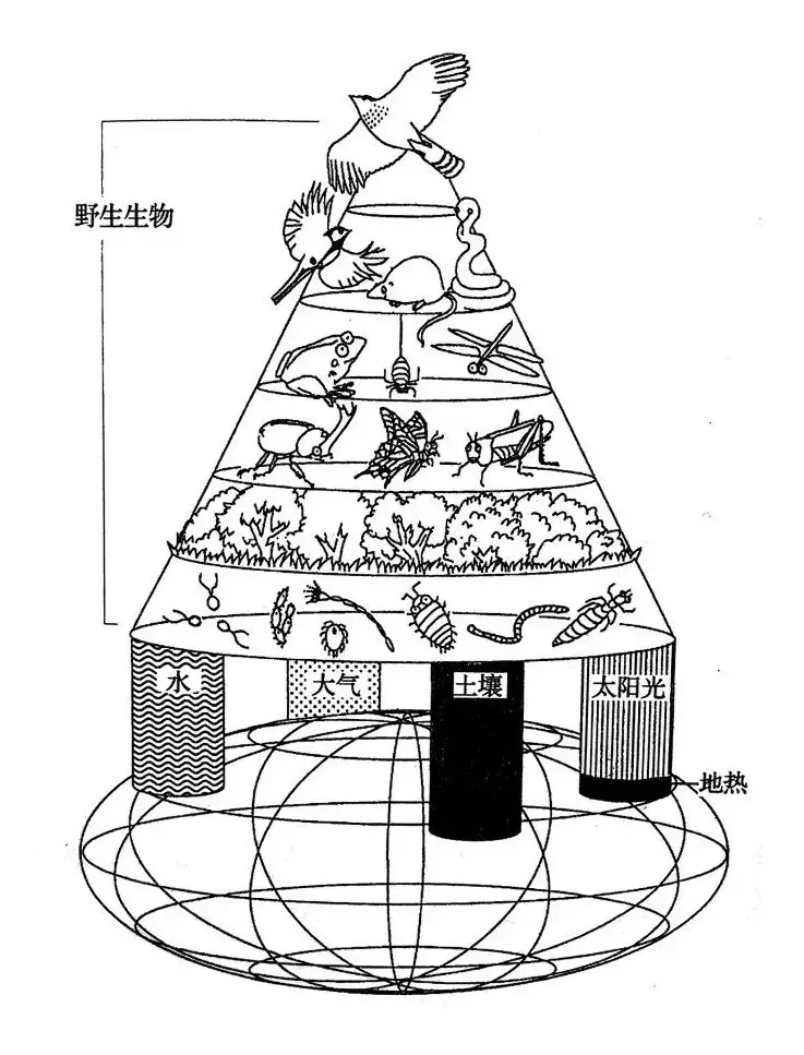 硬核科普：经典的景观设计概念之【生物生境】 | 景观思想进化论① - 知乎