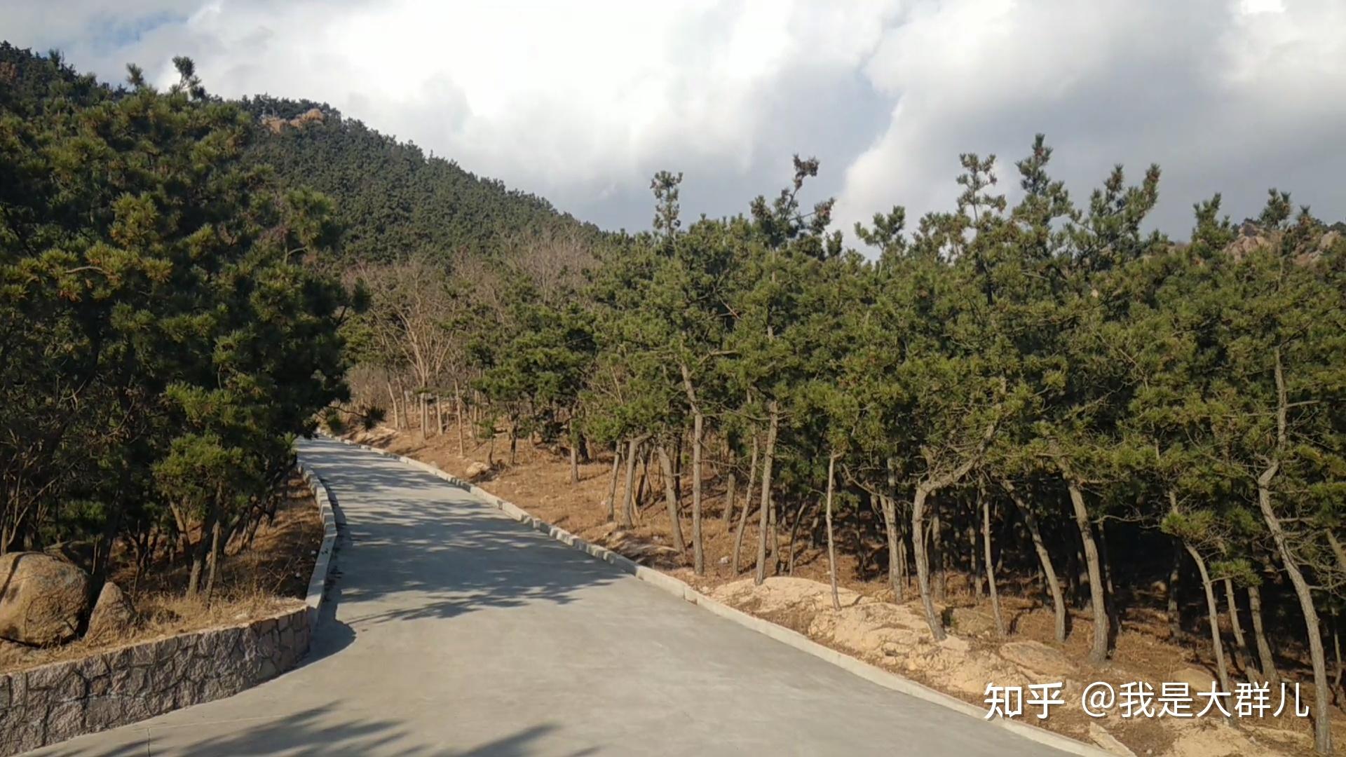 青島百果山森林公園遊玩攻略