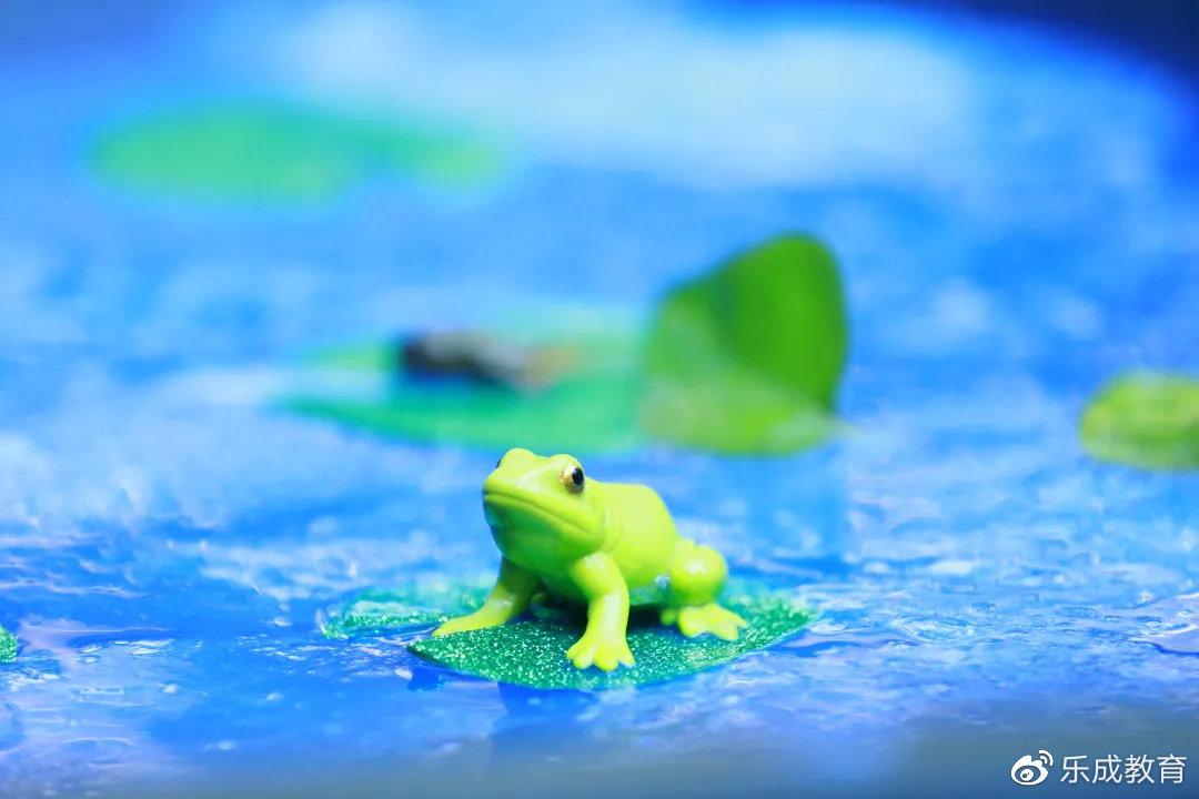 仪式感对孩子的成长真的很重要吗