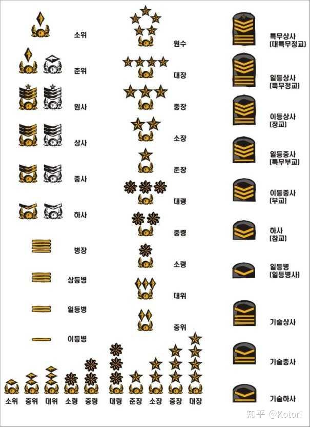 到了1954年,这类简单的军衔和兵种符号完成了他们的使命,新一代的配饰