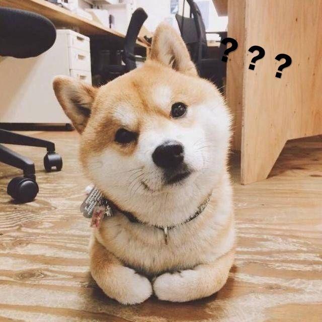 有没有不带字的表情包?