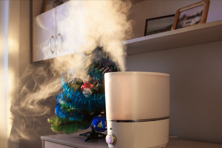 啄木鸟家庭维修课堂冬天空气太干燥加湿器来帮忙