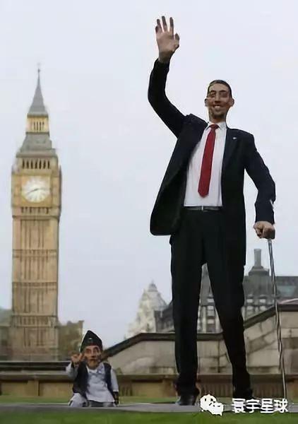 世界上最高的五个人 第一名来自中国 精通多国语言 娶了英国人 知乎 世界上最高的五个人 第一名来自中国 精通多国语言 娶了英国人 知乎