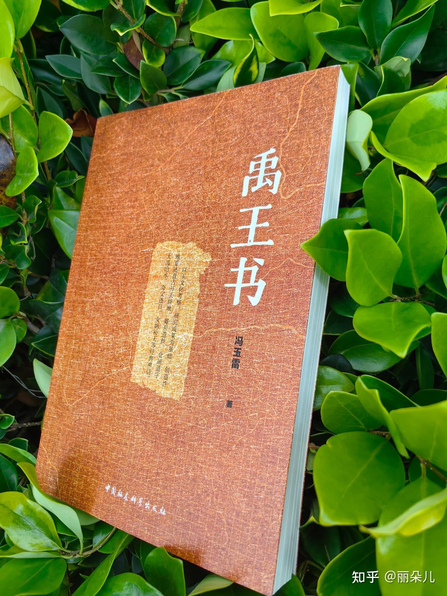 《禹王书》一部宏大考古叙事小说，壮丽无比 - 知乎