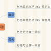 免疫组化结果判断的基本原则 知乎