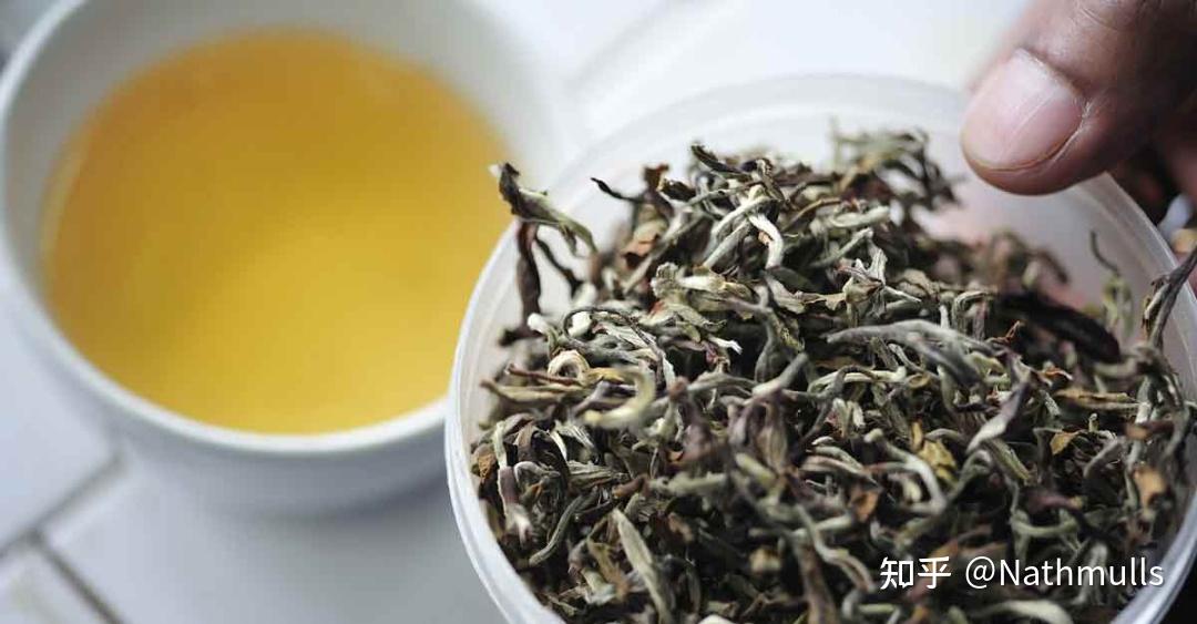 大吉岭白茶,不止是珍贵! - 知乎